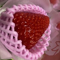 ニューオークラ - 