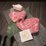 SATOブリアン - 