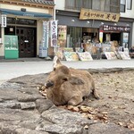 きまま家 - 