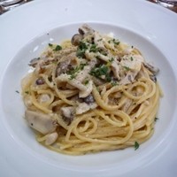 フィオレンティーナ - キノコとパルメザンのクリームパスタ