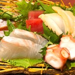 遊海 - お造り5点盛り
