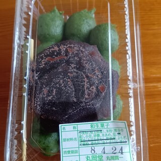 丸岡堂_1