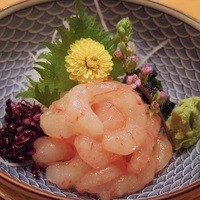 伊豆の旬 やんも 南青山店 - 刺身:甘海老