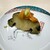 鮨はたけやま - 料理写真: