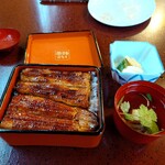 うなぎ 桜家 - 