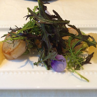 RISTORANTE YAGI - 前菜 ホタテとアボカド