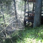 瀧茶屋 - 店の裏は川