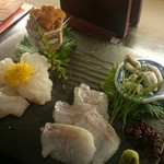 日本酒宿七色 - 穴子と雲丹