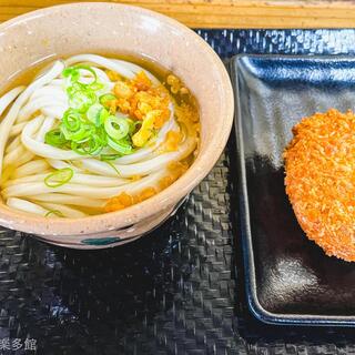 讃岐 鳥越製麺所_1