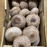 オオゼキ - 料理写真:八色しいたけ 1,999円 17個