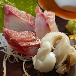 みなと刺身専門店_1