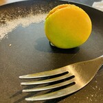 bubó BARCELONA - 