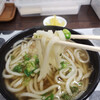 手打ちうどん王将 - 料理写真: