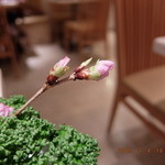 謝甜記 - 良い演出ですね