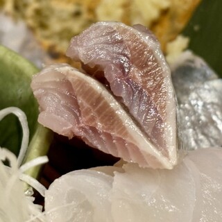 魚まる_1