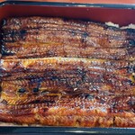 清水屋 - ウナギさん、お久しブリーフ