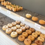 BLANKET DONUTS - 