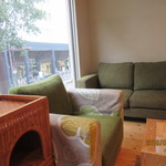 Cat Cafe Nekobiyaka - 私はこの一人がけソファでゆったり～