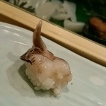 寿司のあおやま - 鳥貝