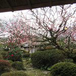 小野筑紫堂 - 参道沿いにも拘わらず、中庭が設けてあり、四季折々の風景を望めます。
            