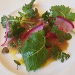 カーサ・デル・チーボ - 八戸産サゴチのポルチーニ茸〆めとハーブ