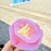 道の駅あきた港 ポートタワー・セリオン - 料理写真: