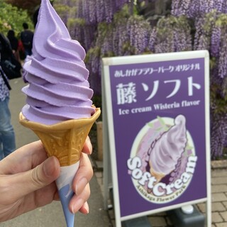 あじさい_1