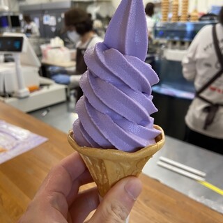 あじさい_0