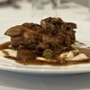 Pigeon - 
