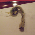 新太呂 - こごめ