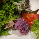 イルバンコ - 新鮮な野菜が盛りだくさん