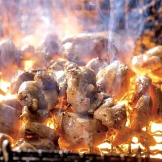 炭火焼鳥 杉の屋_2