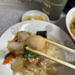 中華 紅楽 - 