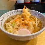 天霧　 - 料理写真:天ぷらうどん  S  780円税込