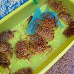 正立食堂 - 