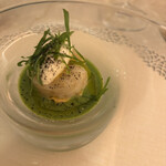 Le Jardin de Kamo - 