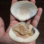 花海 - 