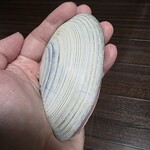 花海 - 