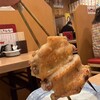 からげんき - 