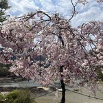 ニューあかいけ - 