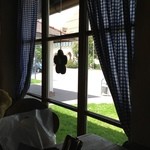 Turm Bräu - レストランから眺める外の様子