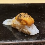 鮨まつもと - コウイカとバフンウニ