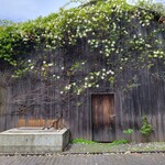 MOKICHI TRATTORIA - 施設内