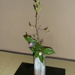 浅田屋 - お花も凛としています