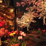 Cafe Restaurant AUREOLE - 桜