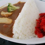 がんばり山 - 奈良俣ダムカレー…税込1000円