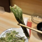 居酒屋 惠 - コシアブラ