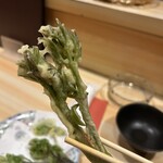 居酒屋 惠 - タラの芽