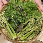 居酒屋 惠 - 