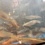 博多もつ鍋前田屋 - 